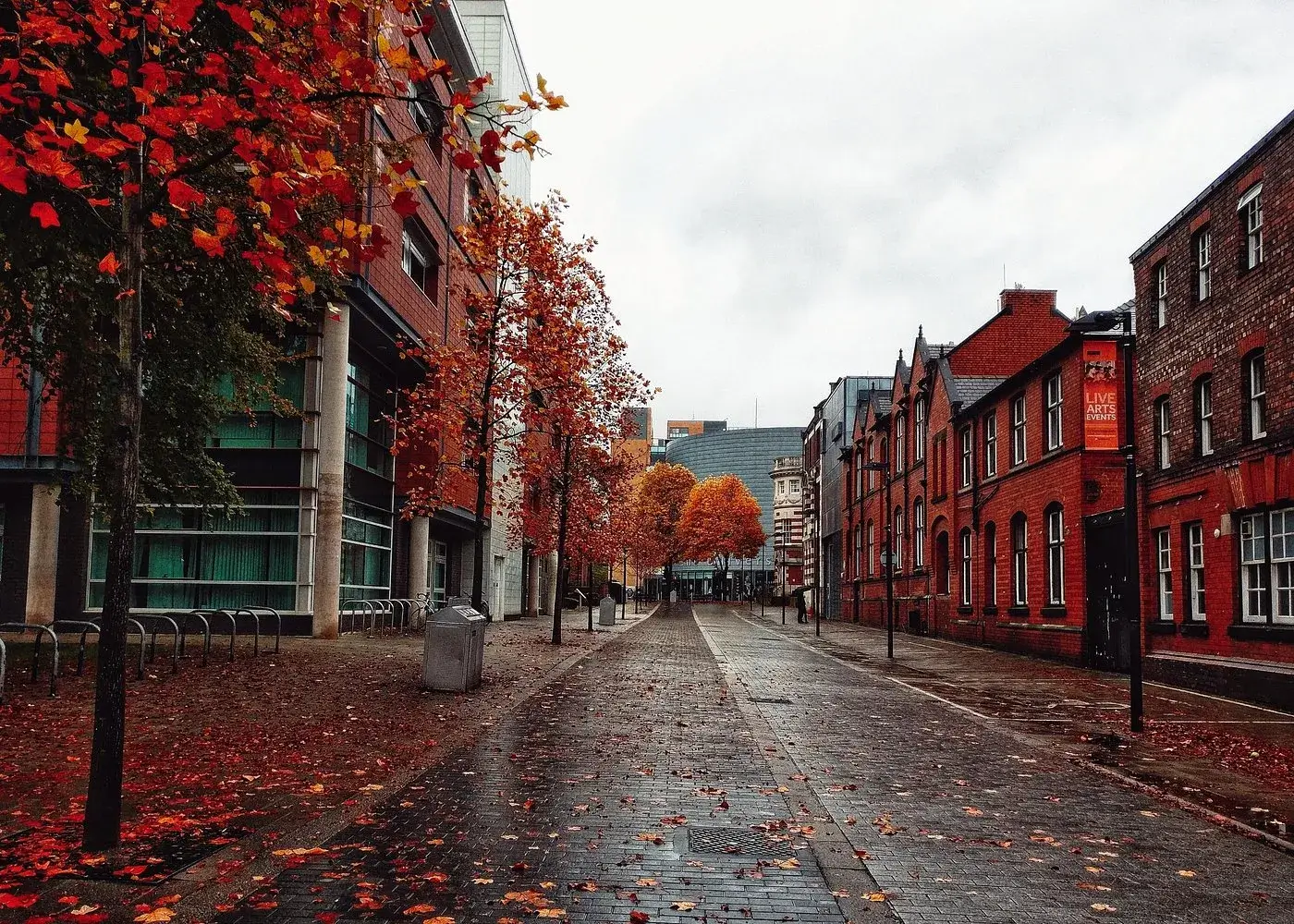 515c38cf-5f88-4c52-89f2-03cf1ce9587c (1)